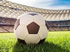 莫伊斯重返,埃弗顿,再任主教练,2026世界杯,世界杯赛程,举办城市,赛事动态,足球新闻