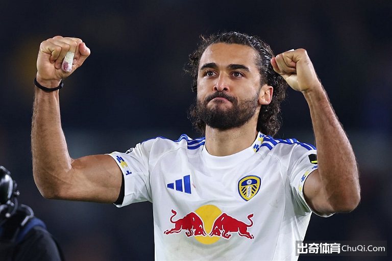 维冈莱顿核,心球员伤缺,情报分析,2026世界杯,世界杯赛程,举办城市,赛事动态,足球新闻